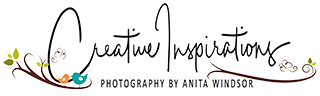 ci-logo