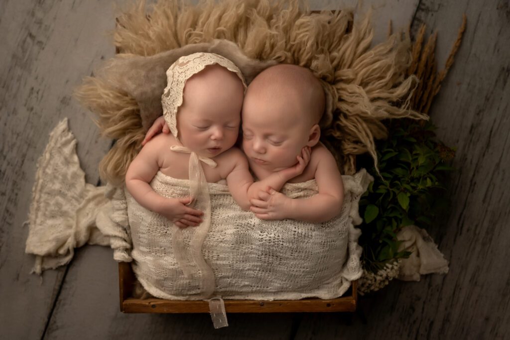 twin newborn photographer in london ontario