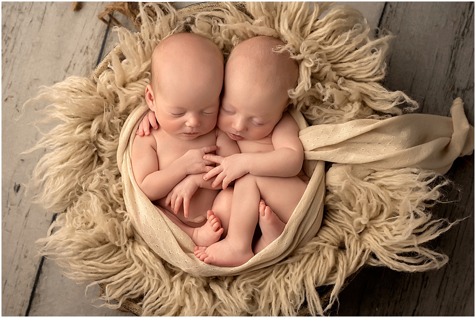 accredited newborn photographers in london ontario