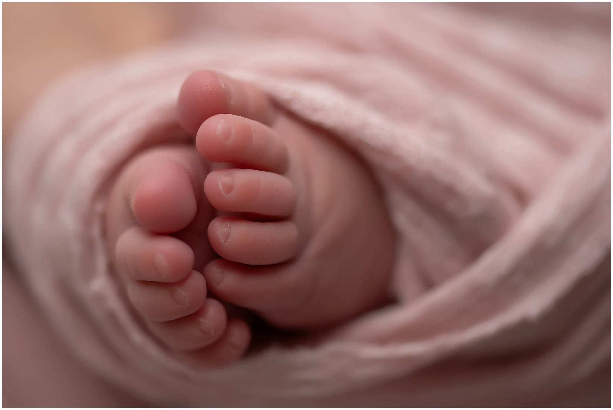 little toes of newborn baby taken during photography session in london ontario