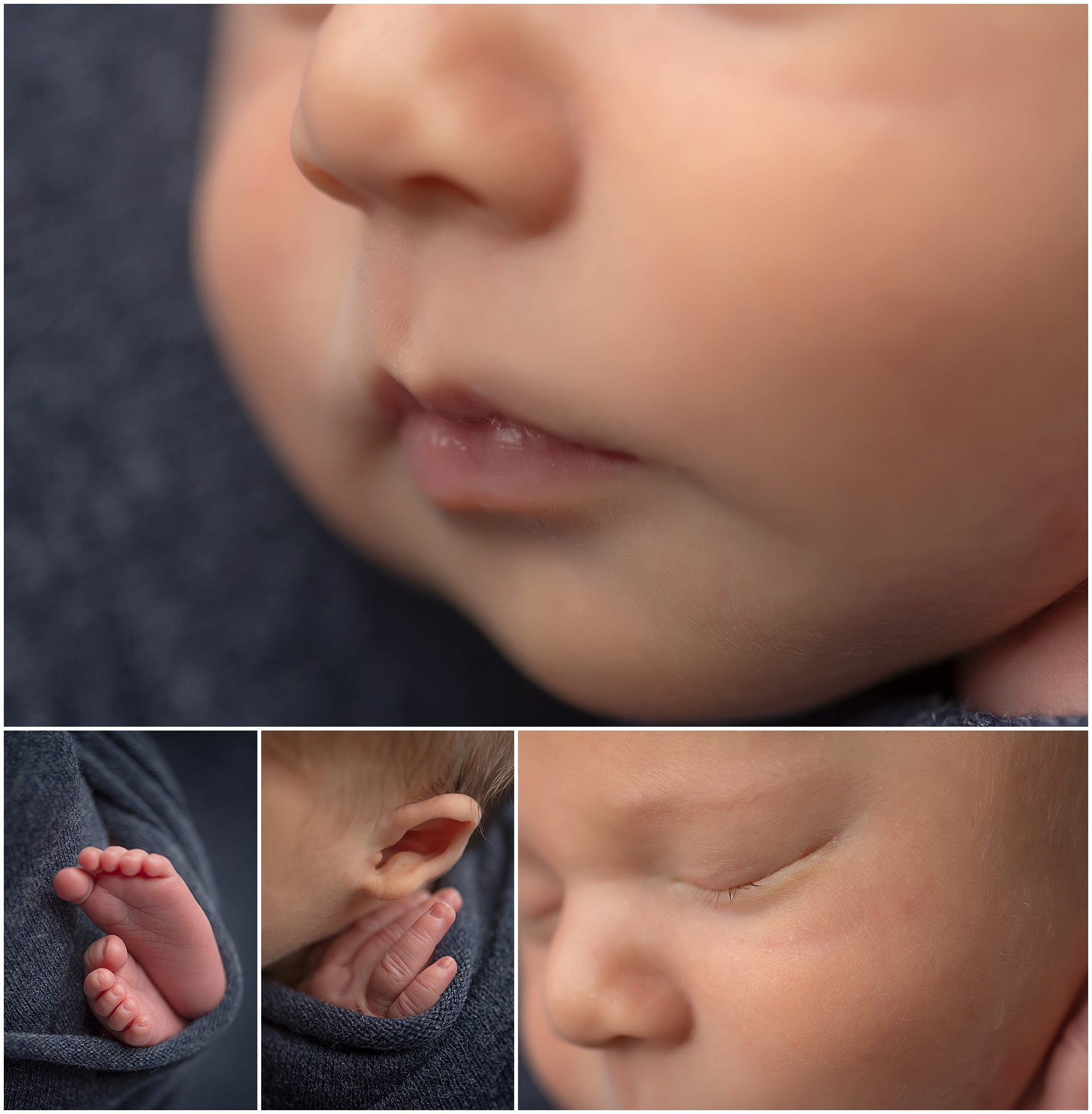 detail images of newborn baby at photography studio in london ontario