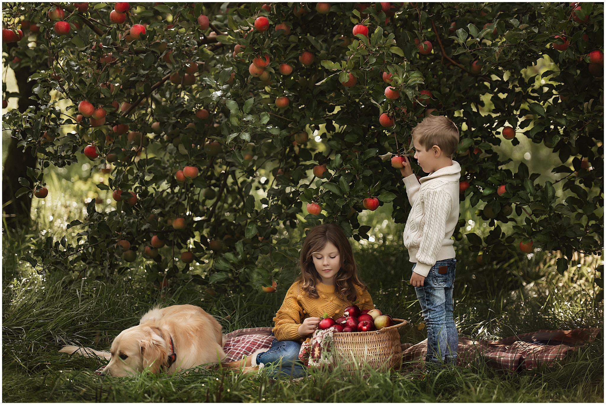 children and golden retriever in apple orchard