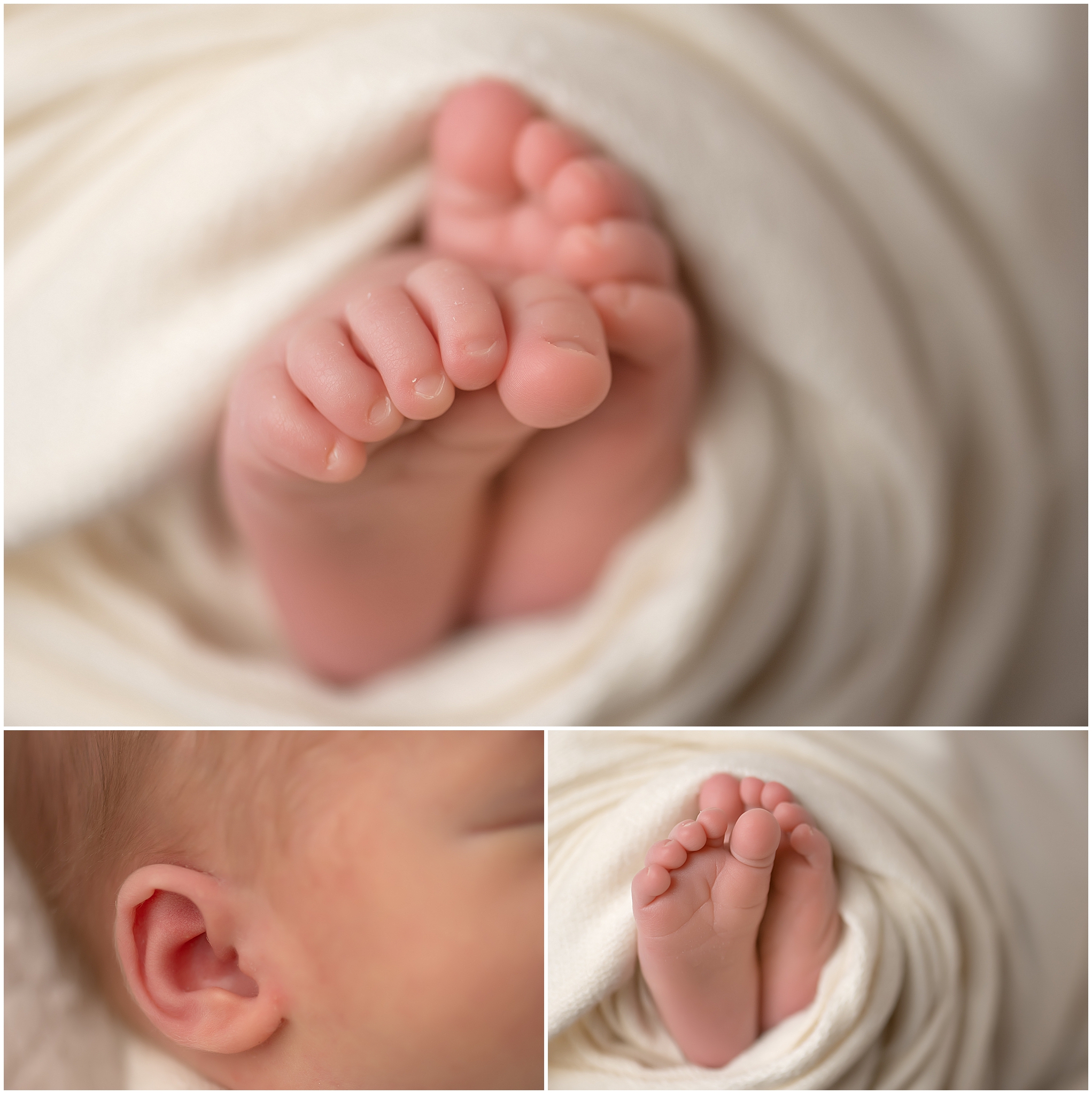 newborn photographers in london ontario